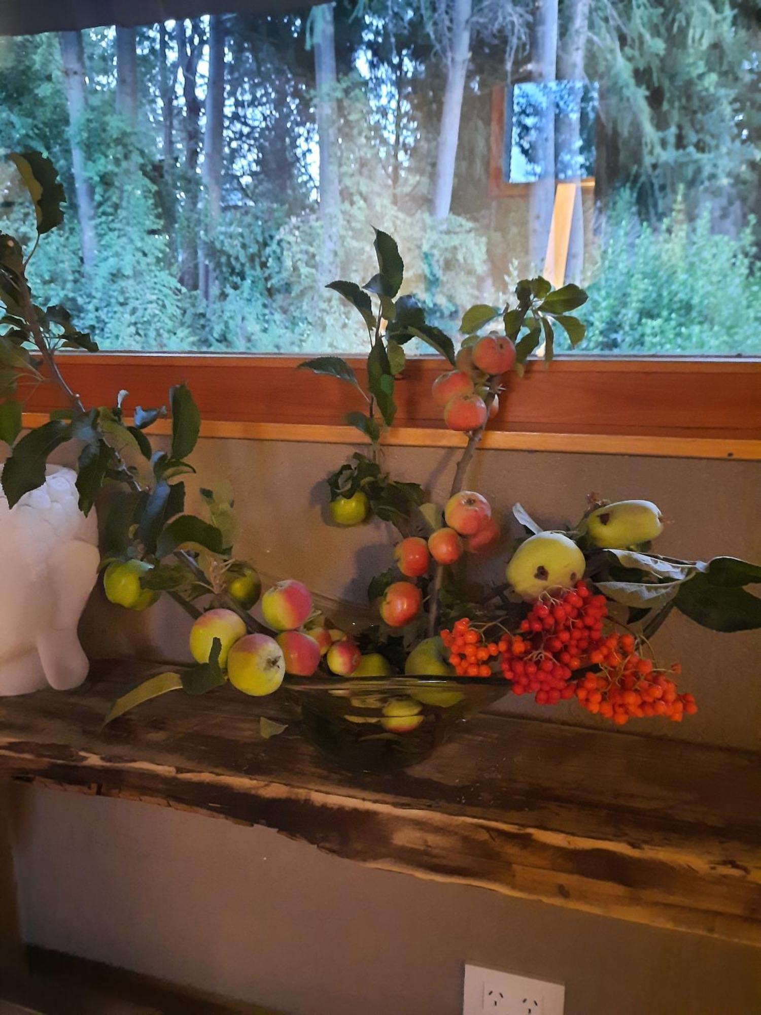 Le Bouquet Apart Hotel San Carlos de Bariloche Ngoại thất bức ảnh